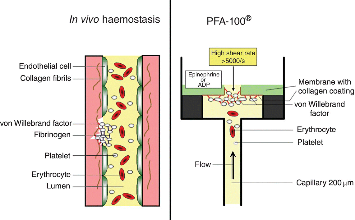 c11-fig-0001