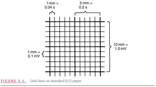 Interpretation Of The Normal Electrocardiogram Thoracic Key