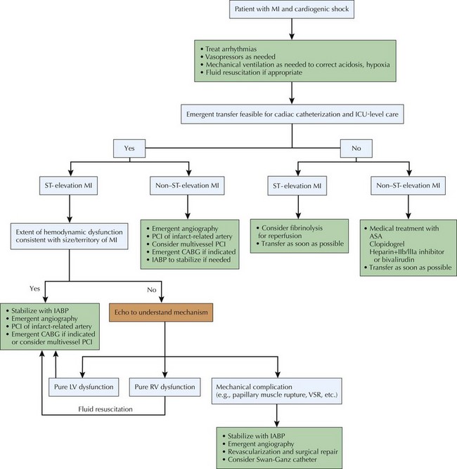 Cardiogenic Shock After Myocardial Infarction | Thoracic Key