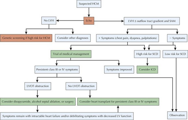 Hypertrophic Cardiomyopathy | Thoracic Key