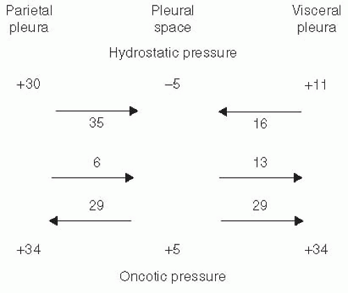 pleural cavity pressure