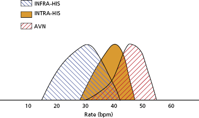 c1-fig-0002