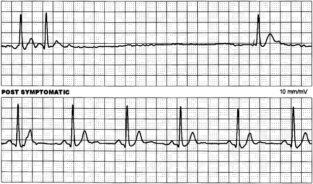 c1-fig-0003