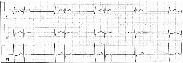 c1-fig-0004