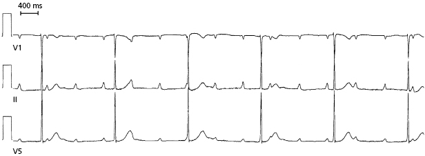 c1-fig-0007