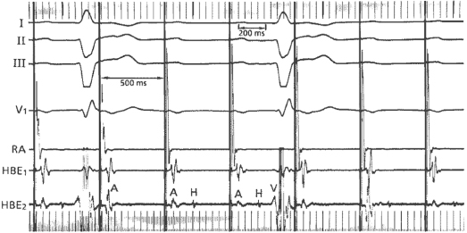 c1-fig-0010