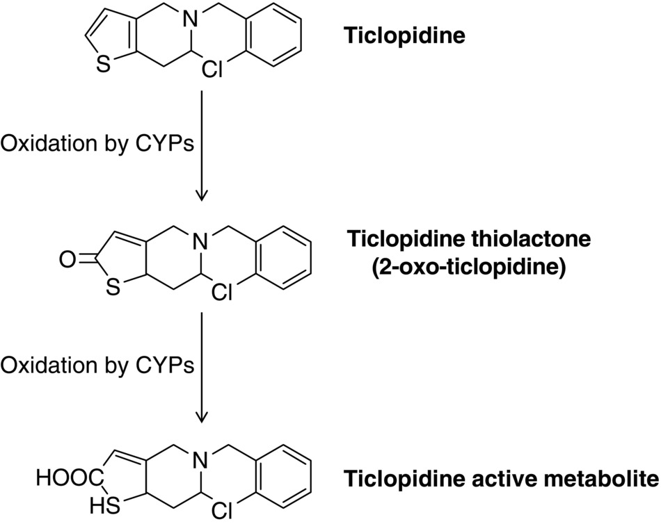 c18-fig-0001