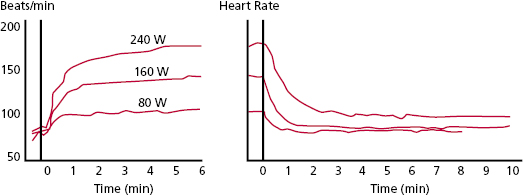 c3-fig-0002