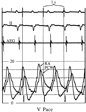 c3-fig-0005