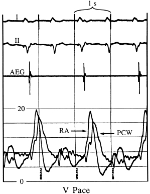 c3-fig-0006