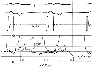 c3-fig-0007