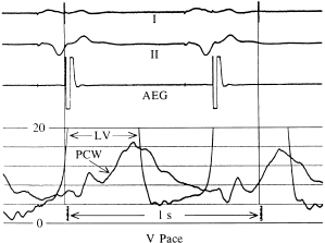 c3-fig-0008