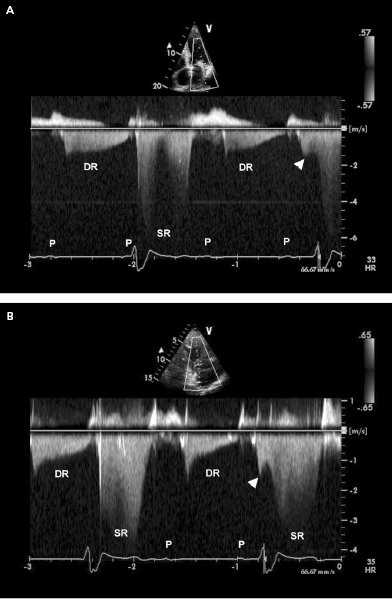 c3-fig-0015