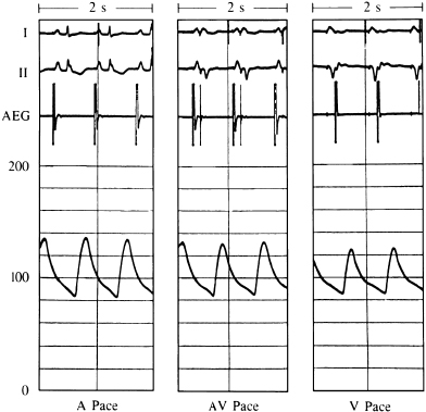 c3-fig-0016