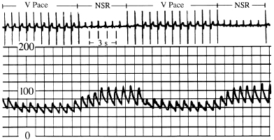 c3-fig-0017