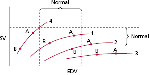 c3-fig-0020