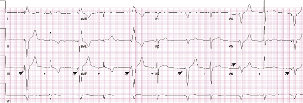 c7-fig-0005