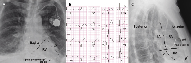 c7-fig-0012