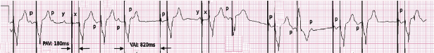 c7-fig-0015