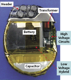 c8-fig-0003