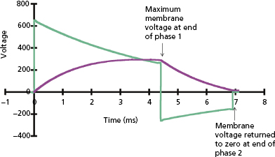 c8-fig-0012