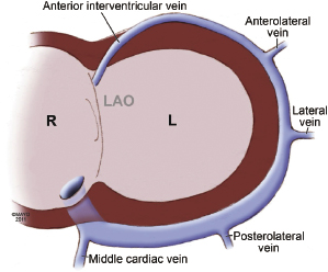 c9-fig-0003