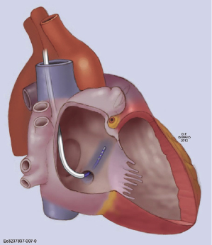 c9-fig-0007