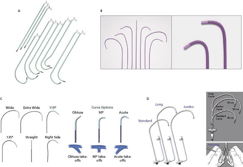 c9-fig-0008