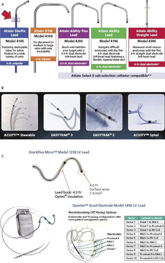 c9-fig-0010