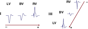 c9-fig-0013