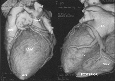 c9-fig-0015