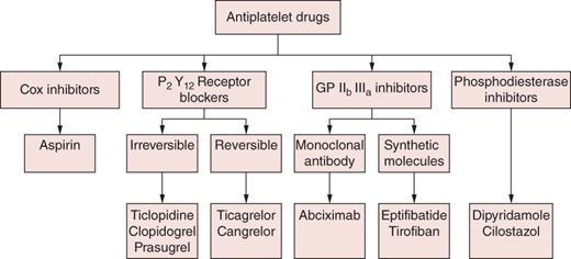 Antiplatelet Therapy | Thoracic Key