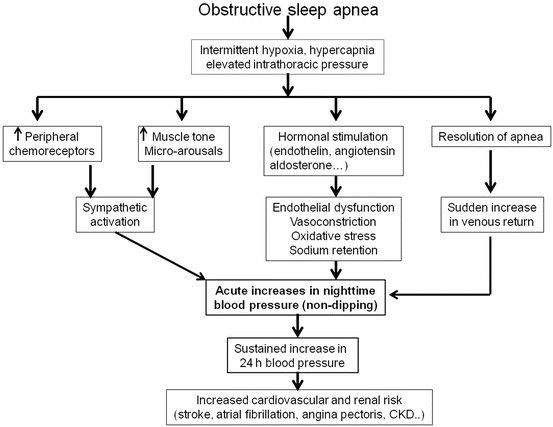 Physiologic Control of the Circadian Variability in Blood Pressure ...