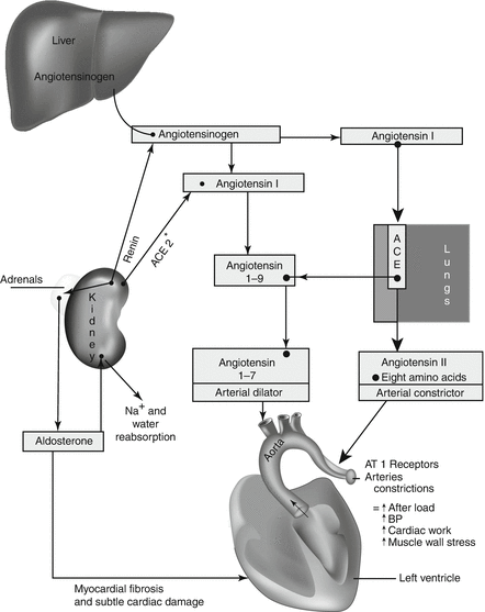 A146047_8_En_3_Fig1_HTML.gif