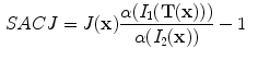 $$\begin{aligned} SACJ&=J(\mathbf x )\frac{\alpha (I_1(\mathbf{T(x) }))}{\alpha (I_2(\mathbf x ))}-1 \end{aligned}$$