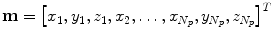 $$\mathbf{{m}}=\left[ x_{1},y_{1},z_{1},x_{2},\dots ,x_{N_p},y_{N_p},z_{N_p}\right] ^T$$