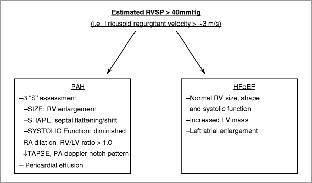 A306999_1_En_22_Fig1_HTML.gif