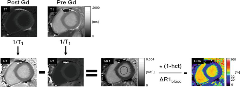 A315651_1_En_12_Fig9_HTML.jpg