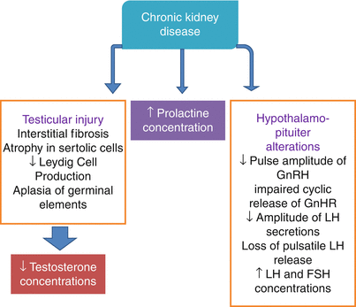 Erectile and Sex Hormone Dysfunction and Cardiovascular