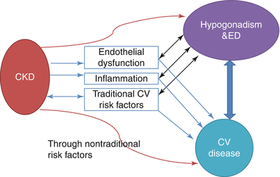 Erectile and Sex Hormone Dysfunction and Cardiovascular