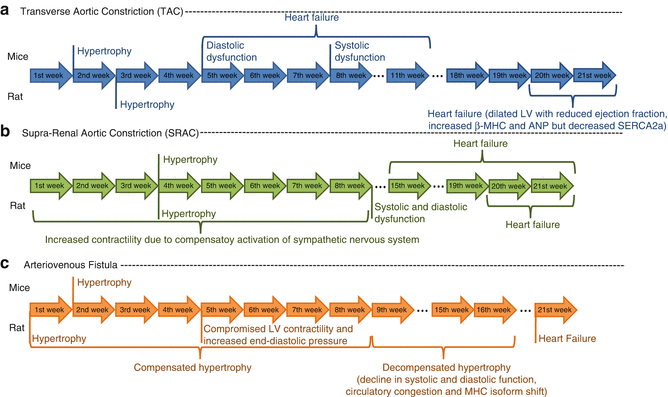 A319559_1_En_19_Fig3_HTML.gif