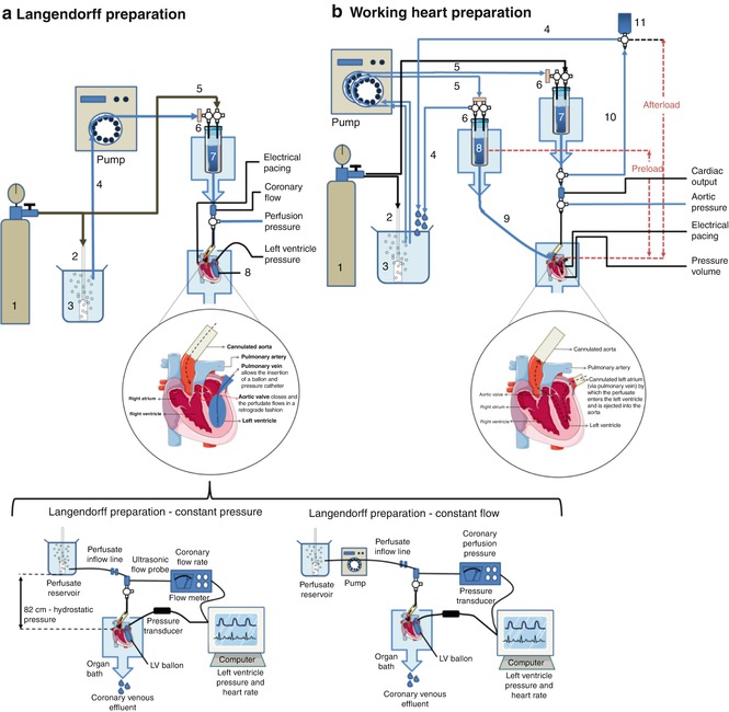 A319559_1_En_20_Fig3_HTML.jpg