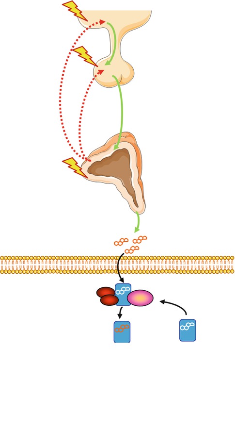 A319559_1_En_6_Fig3_HTML.jpg