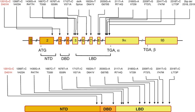 A319559_1_En_6_Fig4_HTML.jpg