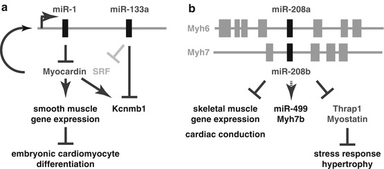 A321847_1_En_62_Fig2_HTML.jpg