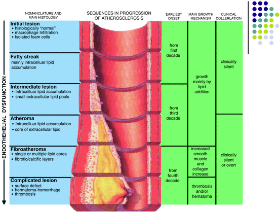 A340081_1_En_28_Fig3_HTML.gif