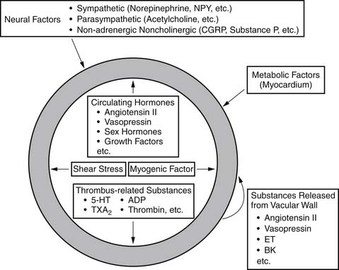 Vascular Physiology Thoracic Key