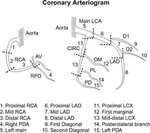 Heart | Thoracic Key