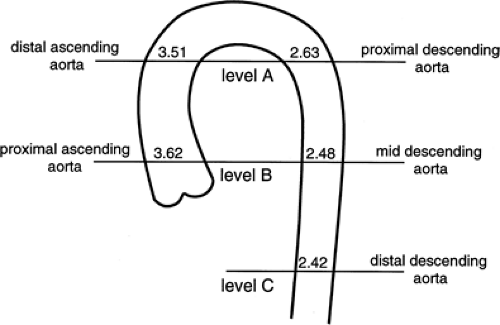 normal aortic arch diameter