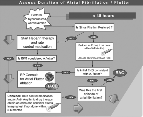 primary prevention atrial fibrillation ablation flutter